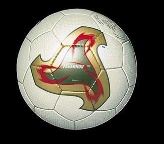 2002年韩日世界杯足球赛,2002 FIFA World Cup