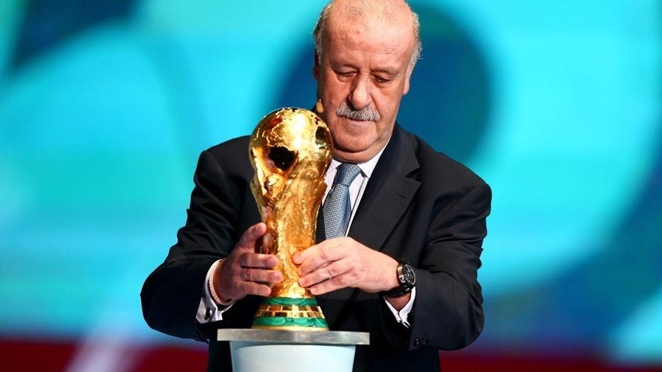 2014年巴西世界杯,2014 FIFA World Cup