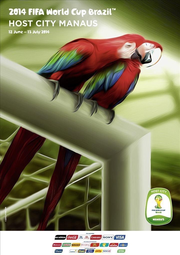 2014年巴西世界杯,2014 FIFA World Cup