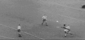 1958年瑞典世界杯,第6届世界杯足球赛