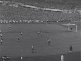 1958年瑞典世界杯,第6届世界杯足球赛